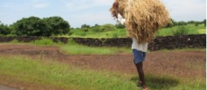 Farmers Notebook