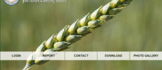 Customize Database Software on :Agriculture Khasland Management Information System(AKMIS)